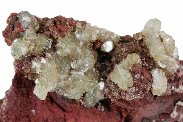 Gemmy Adamite Crystals on Matrix - Ojuela Mine, Mexico #219820